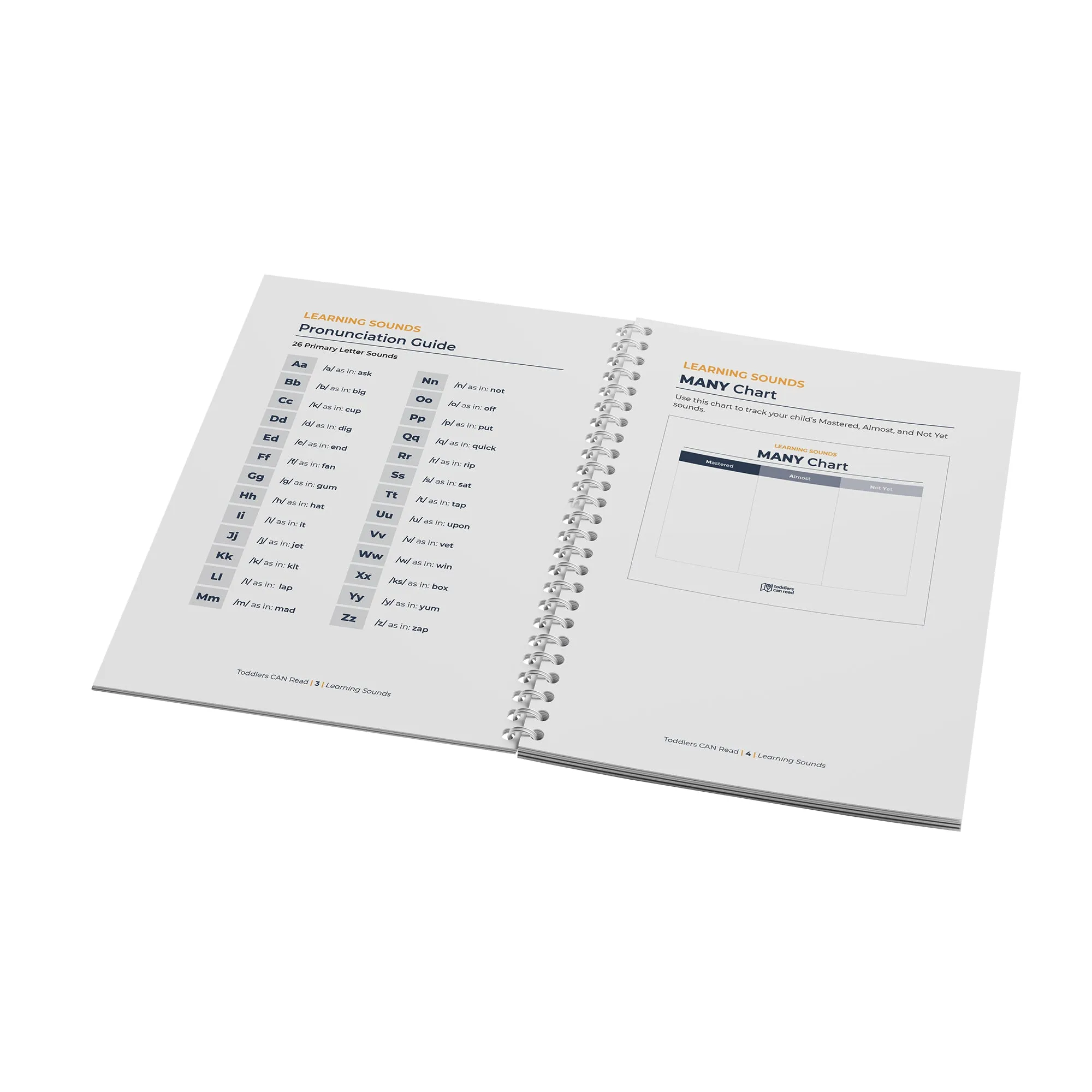3 Course Bundle - Handouts