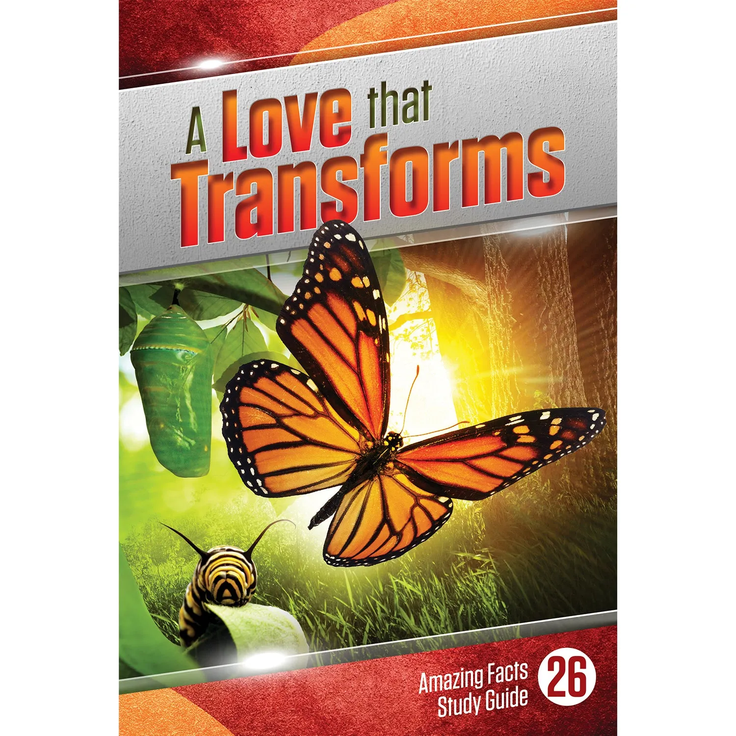 A Love That Transforms by Bill May
