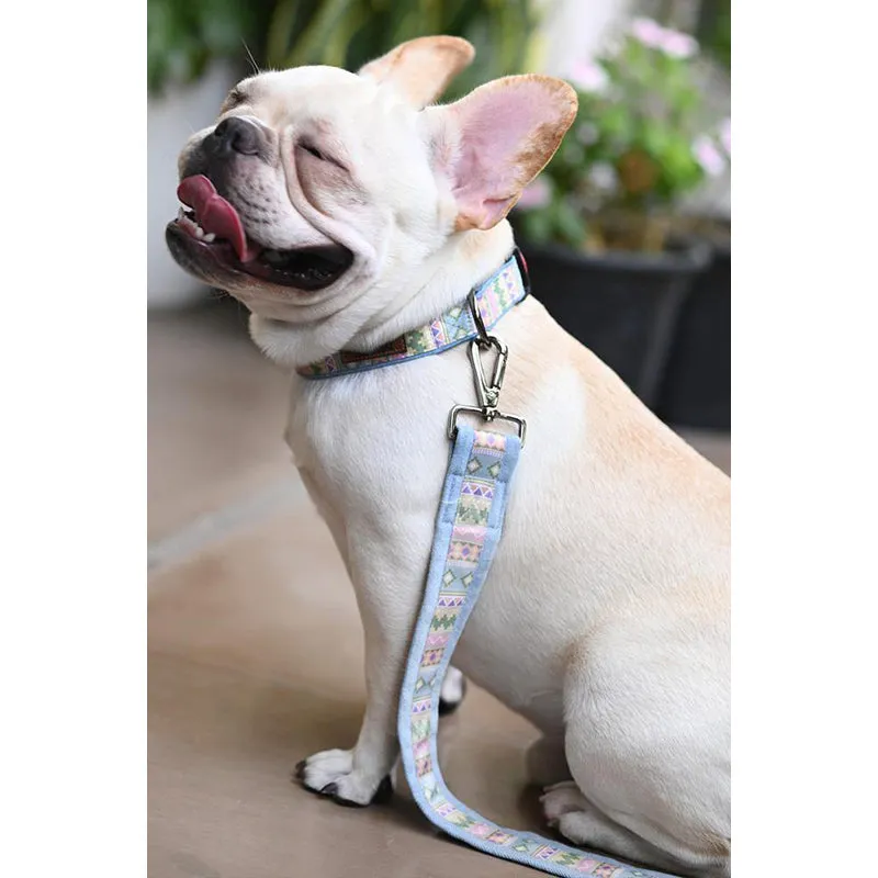 Aztec Leash