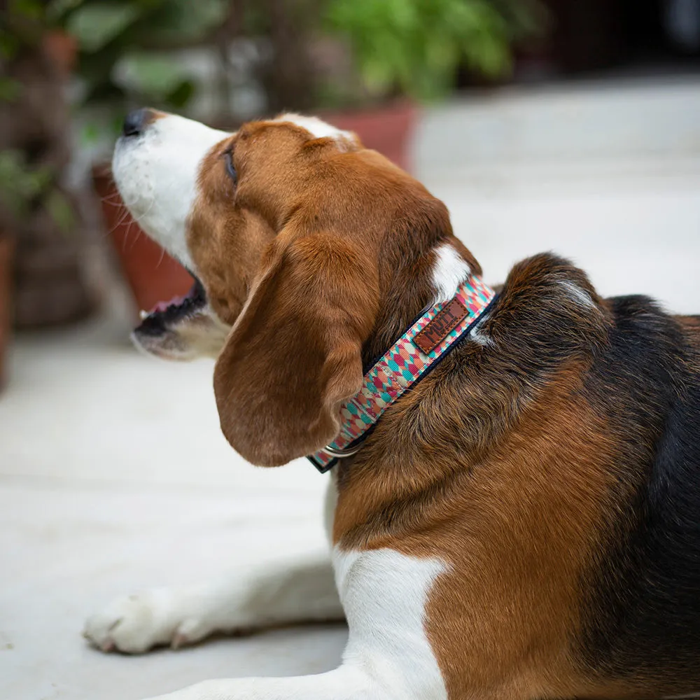 Candy Barr Collar