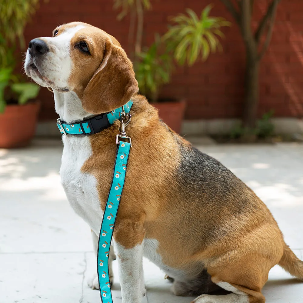 Eggs & Bacon Leash