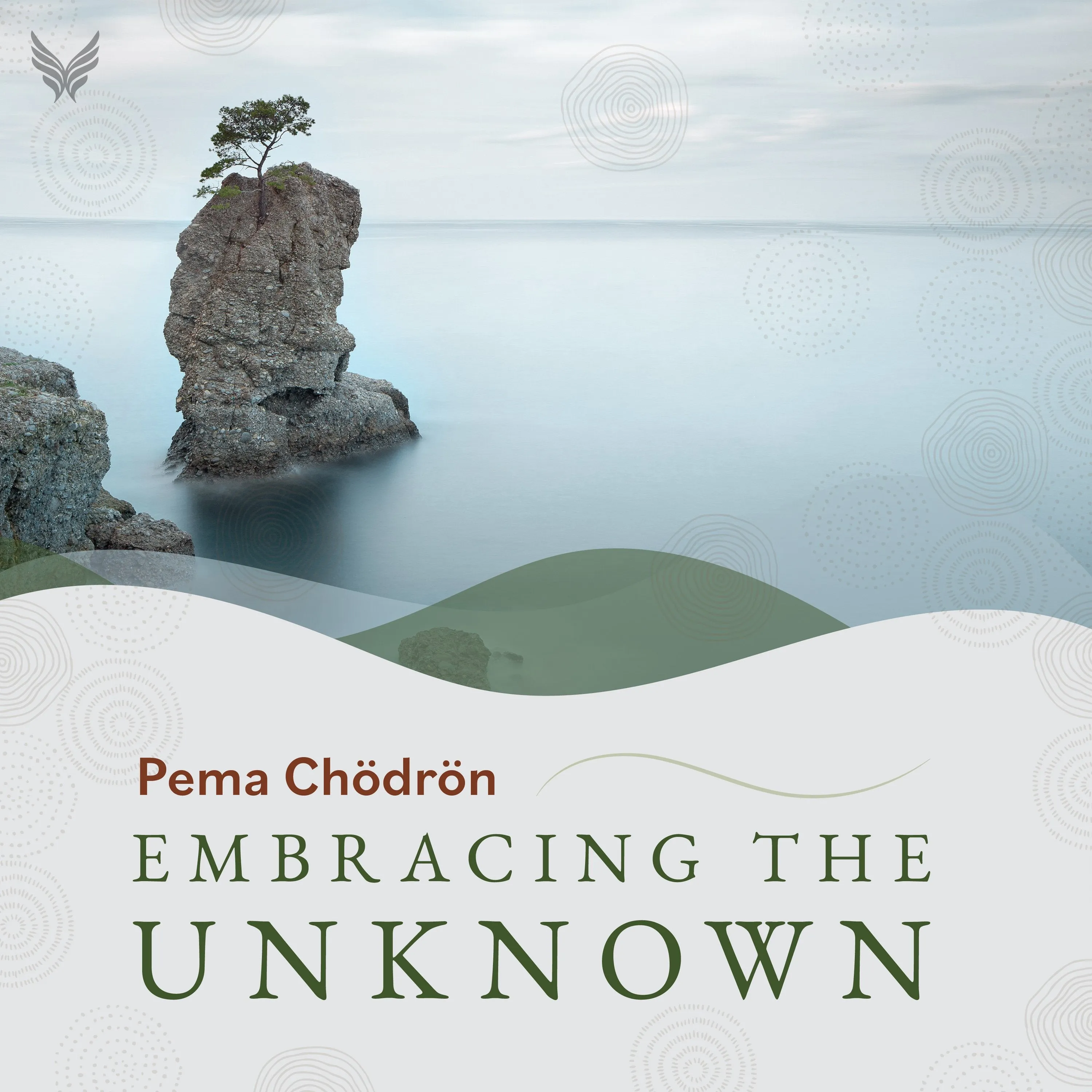 Embracing the Unknown (Exclusive Offer)