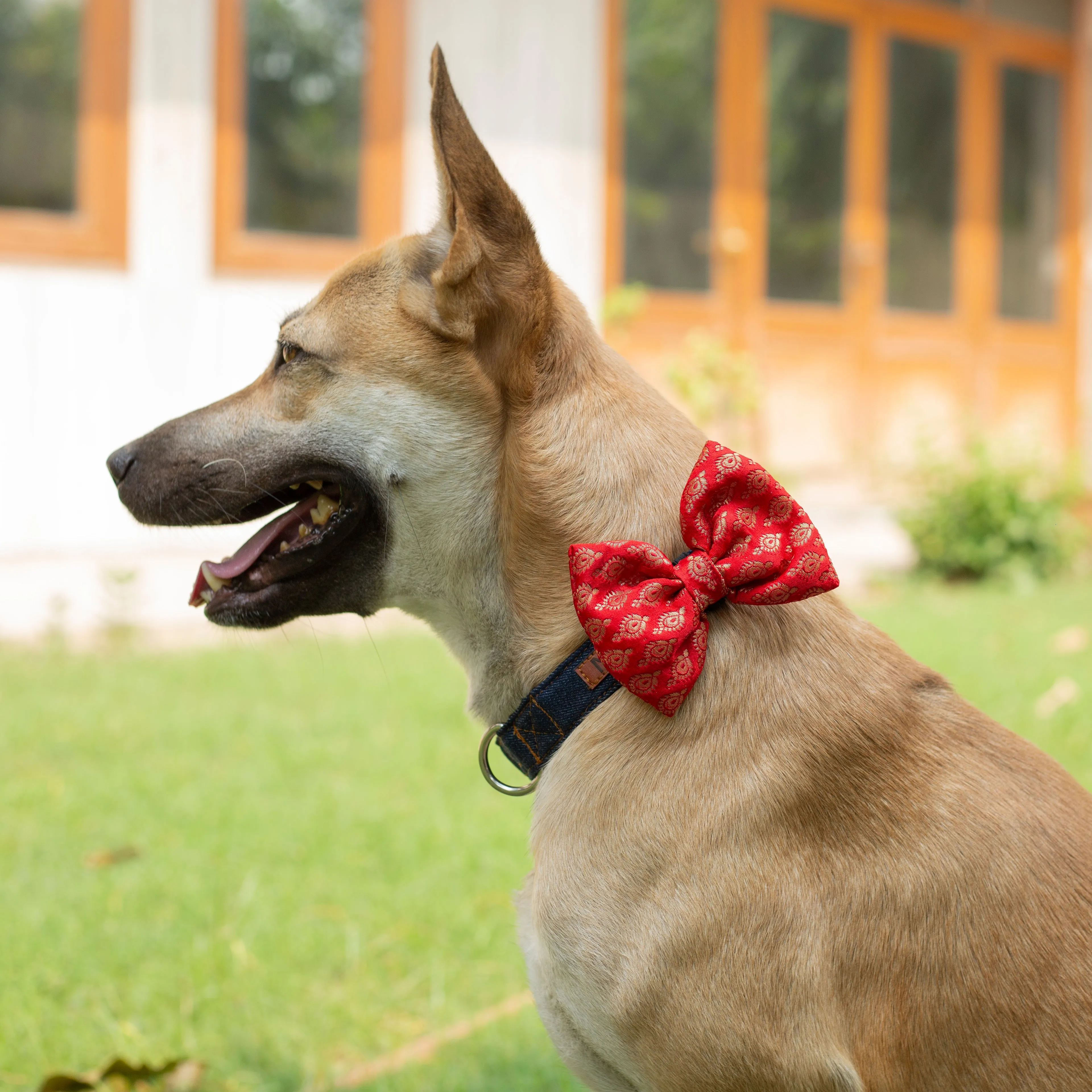 Festive Bow - Red