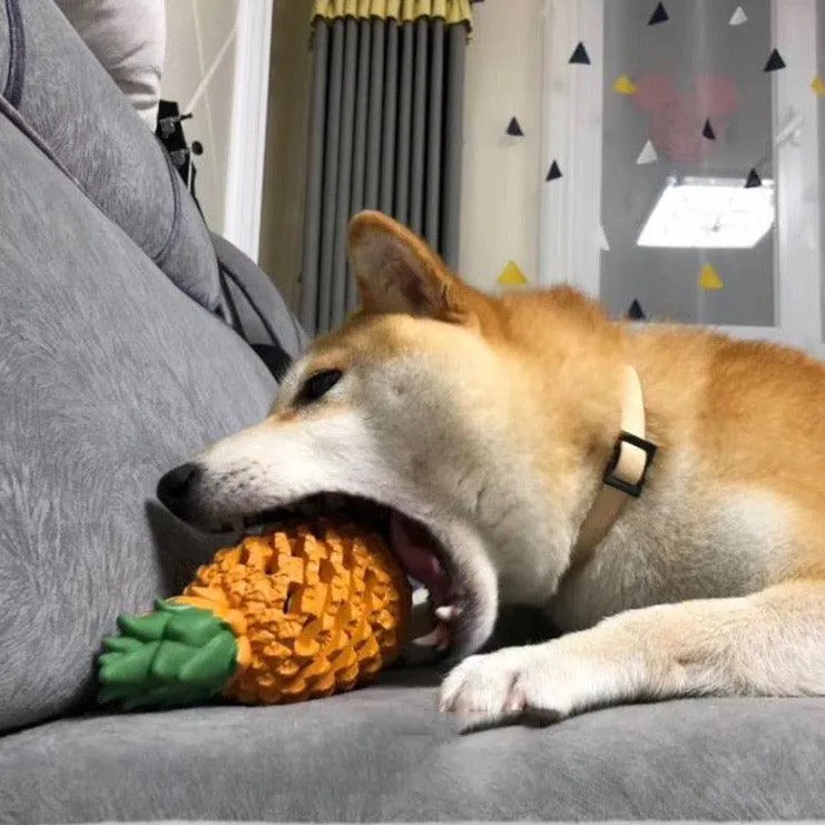 Funny Fruits Shape Dog Toy Pet Teeth Clean Molar Teeth Chew Bite Pet Toys Pets Products Gift by Dog Hugs Cat