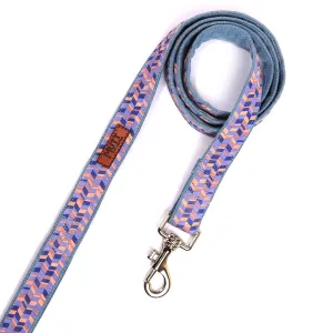 Geometrical Leash