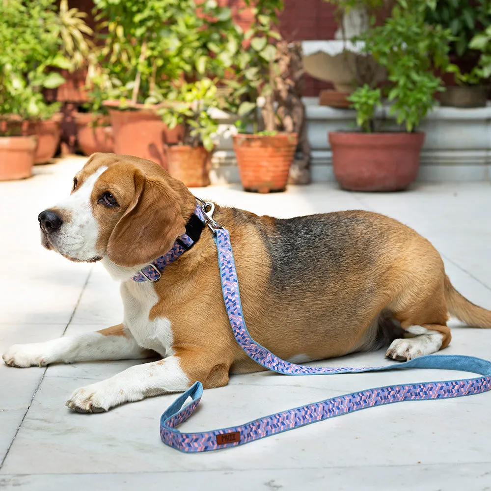 Geometrical Leash