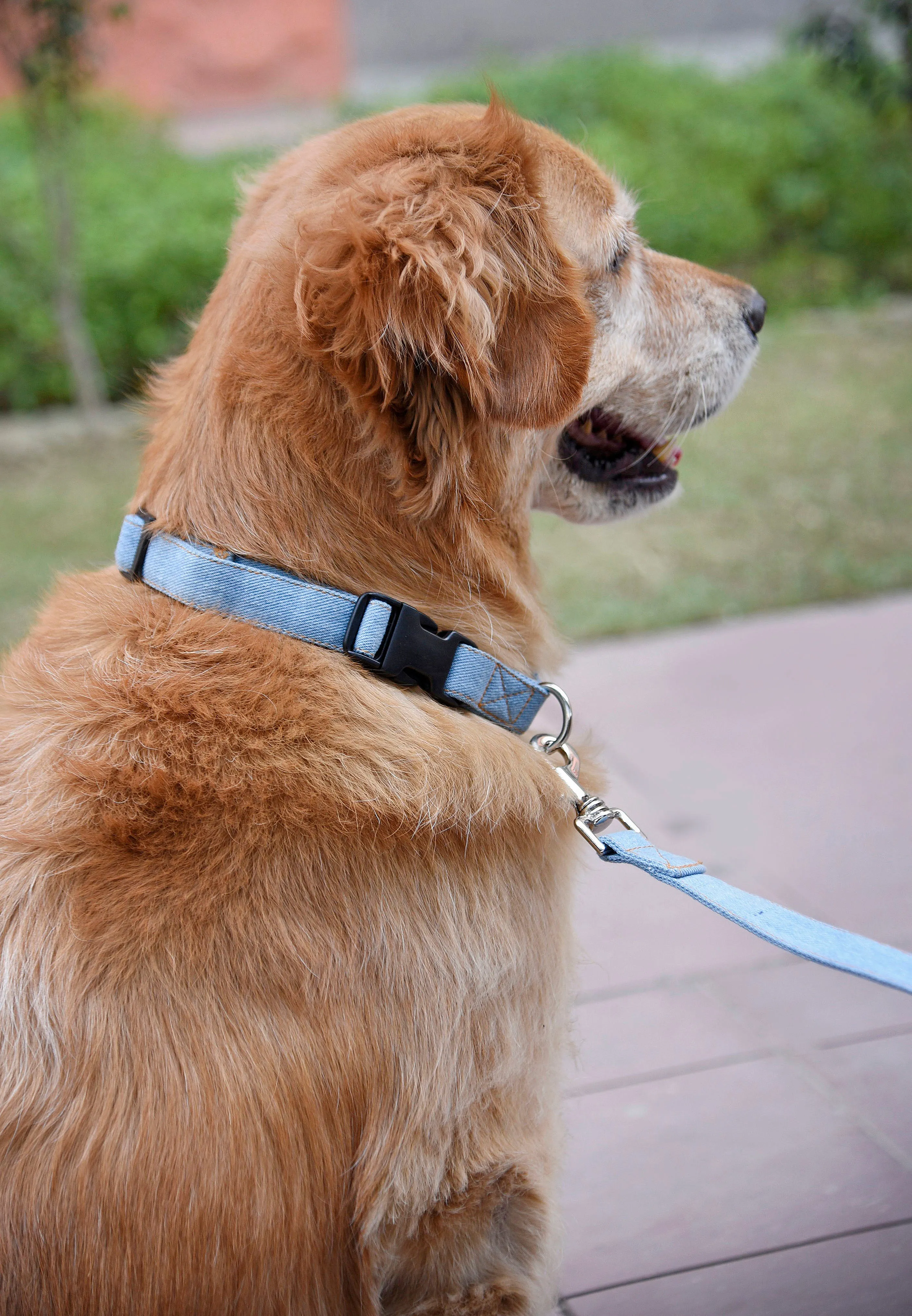 Light Blue Denim Leash