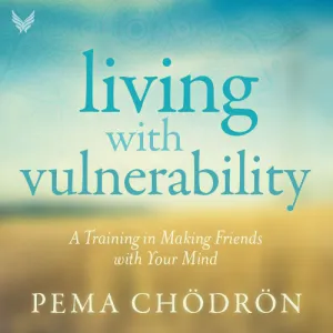 Living with Vulnerability
