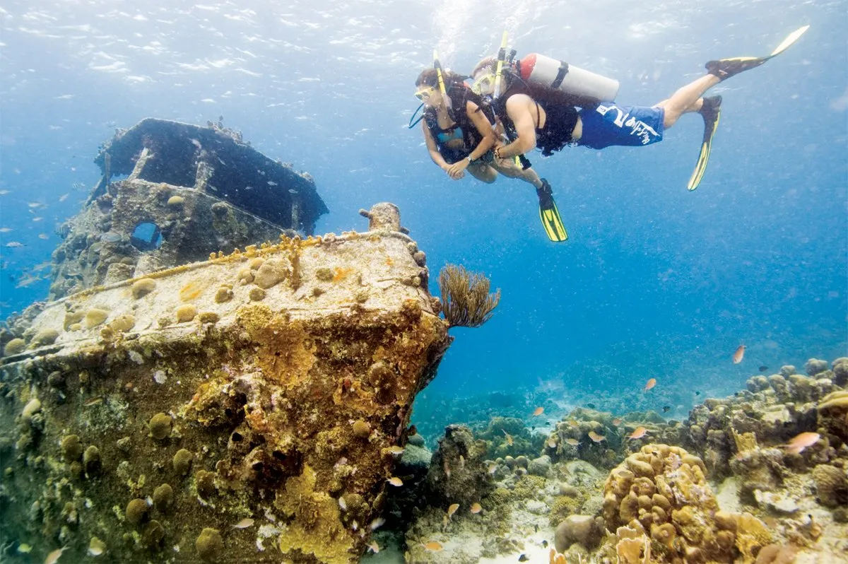 ONLINE TRAINING: PADI Wreck Diver Course