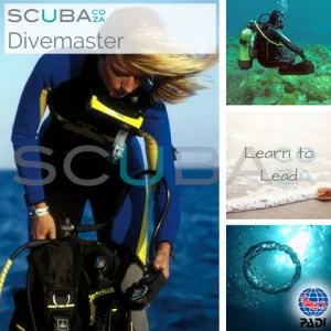 PADI Dive Master Course Special