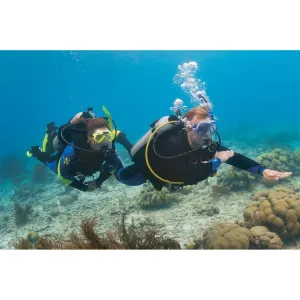PADI eLearning: Advanced Open Water Diver