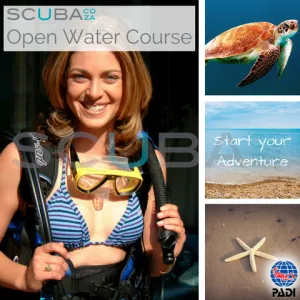 PADI Open Water Scuba Scuba Diving Course