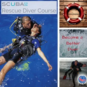 PADI Rescue SCUBA Diver Special   FREE First Aid