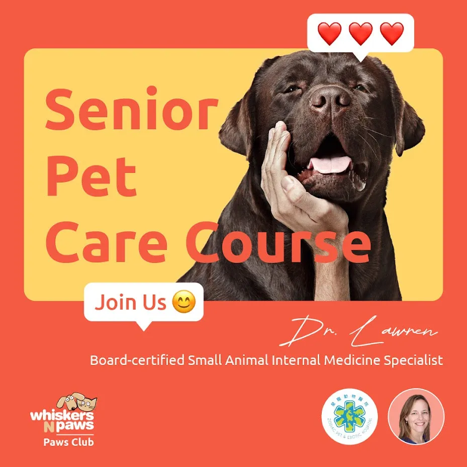 Senior Pet Care Course By Dr. Lawren