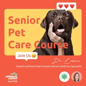Senior Pet Care Course By Dr. Lawren
