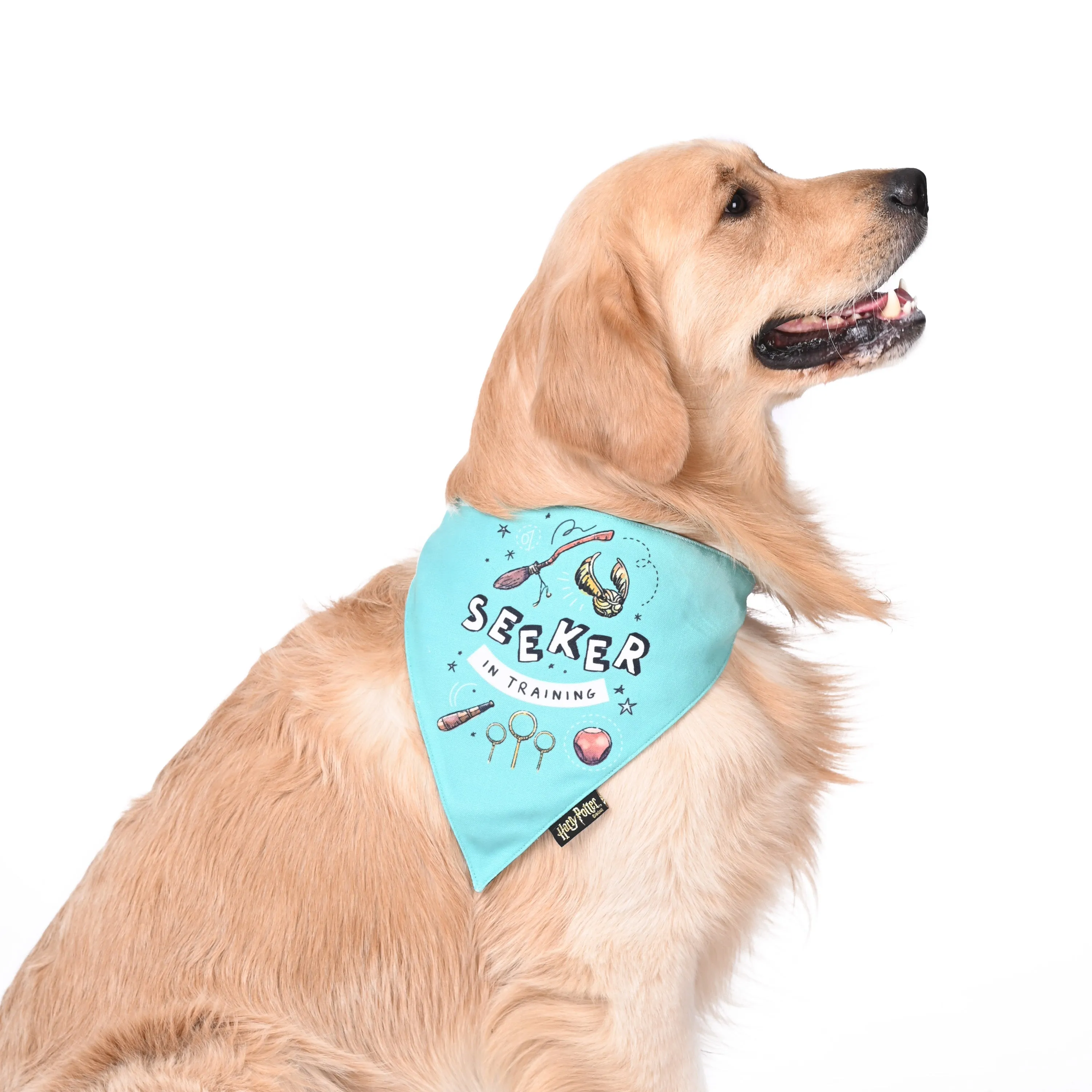 Sniff N' Seeker Bandana