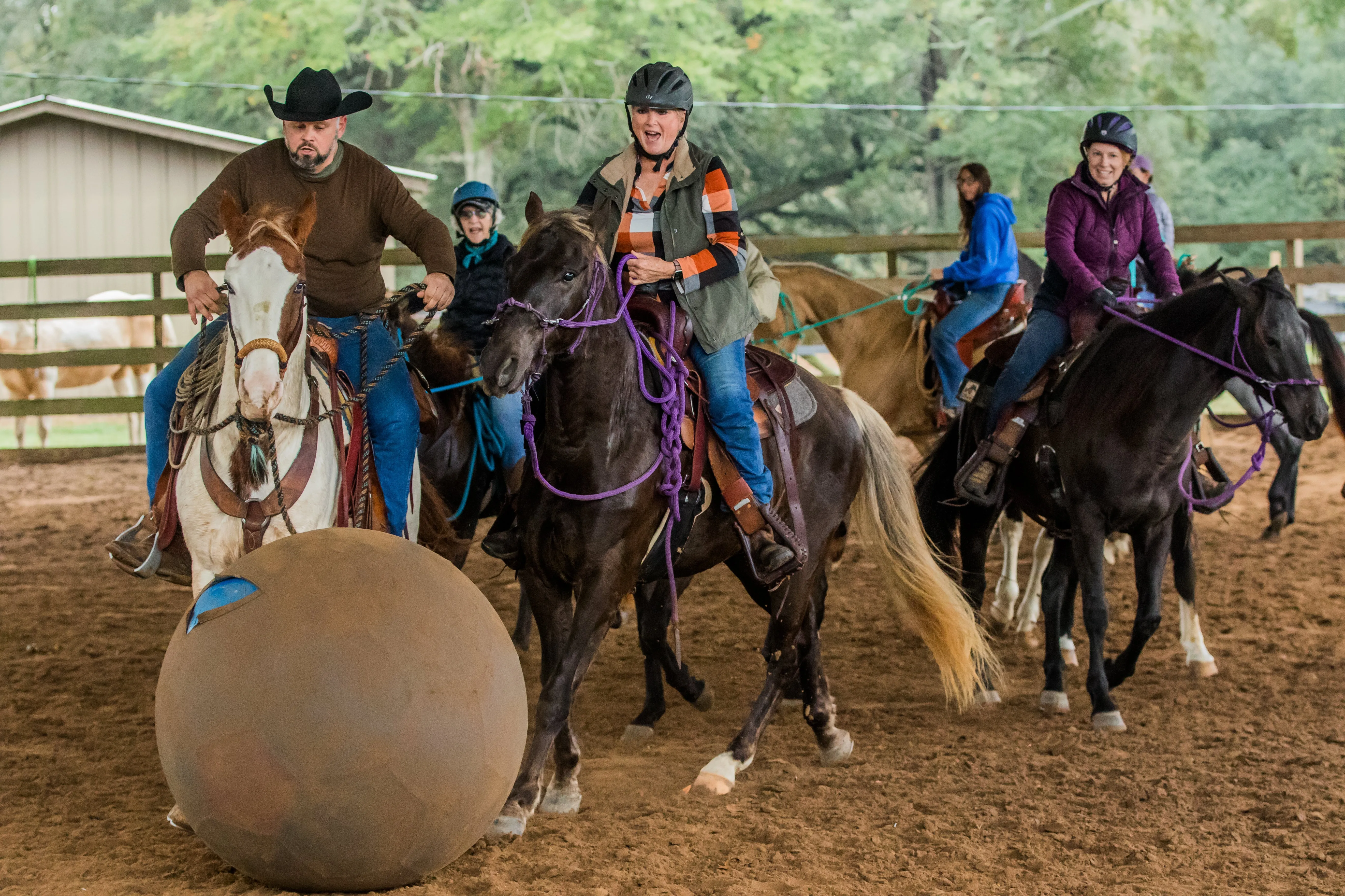 Upgrade To VIP For The Horse Help Challenge