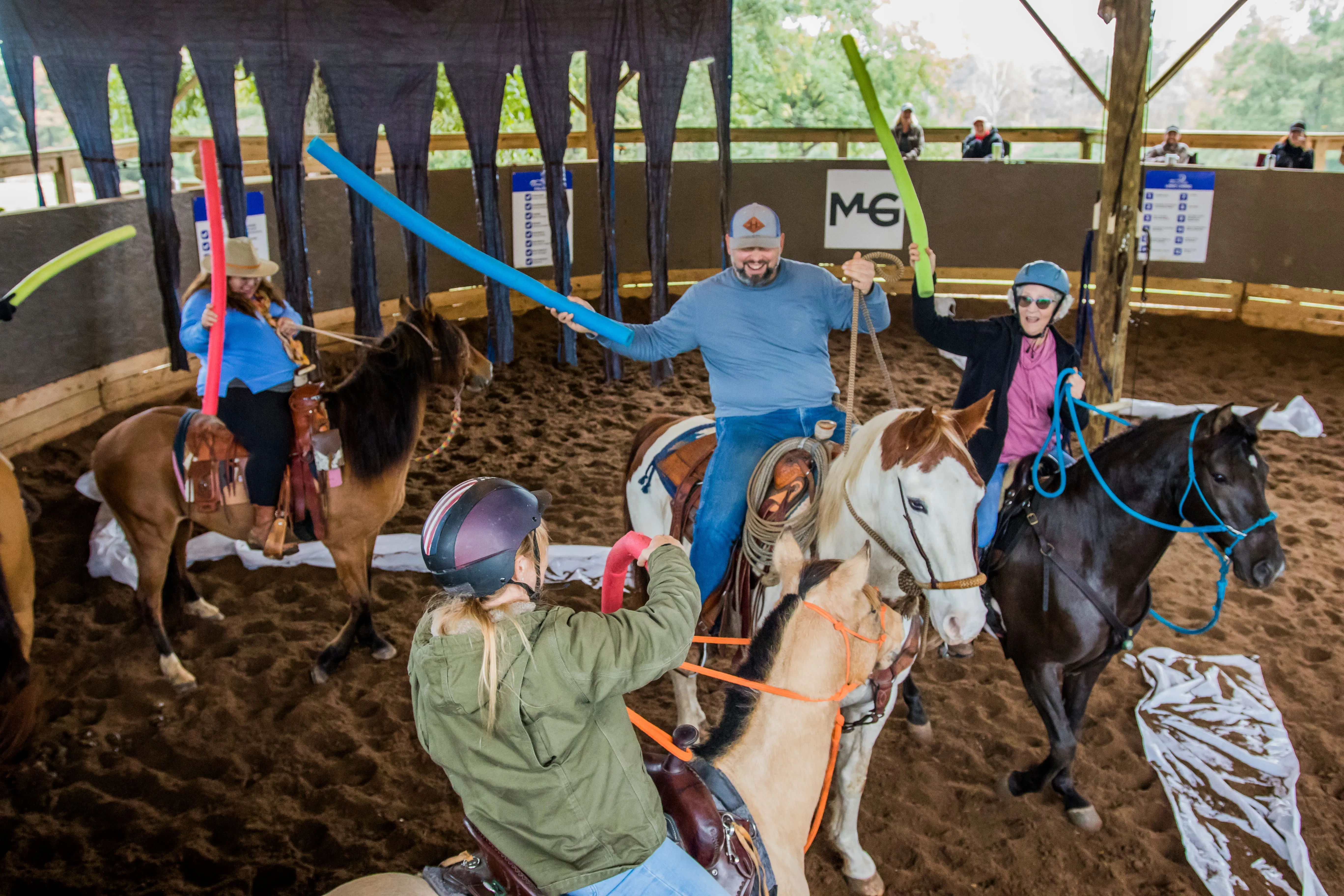 Upgrade To VIP For The Horse Help Challenge