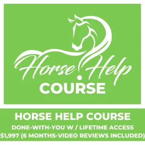 Weekly Virtual Lessons With Video Review [6 Months] - DWY Horse Help Course Accelerator