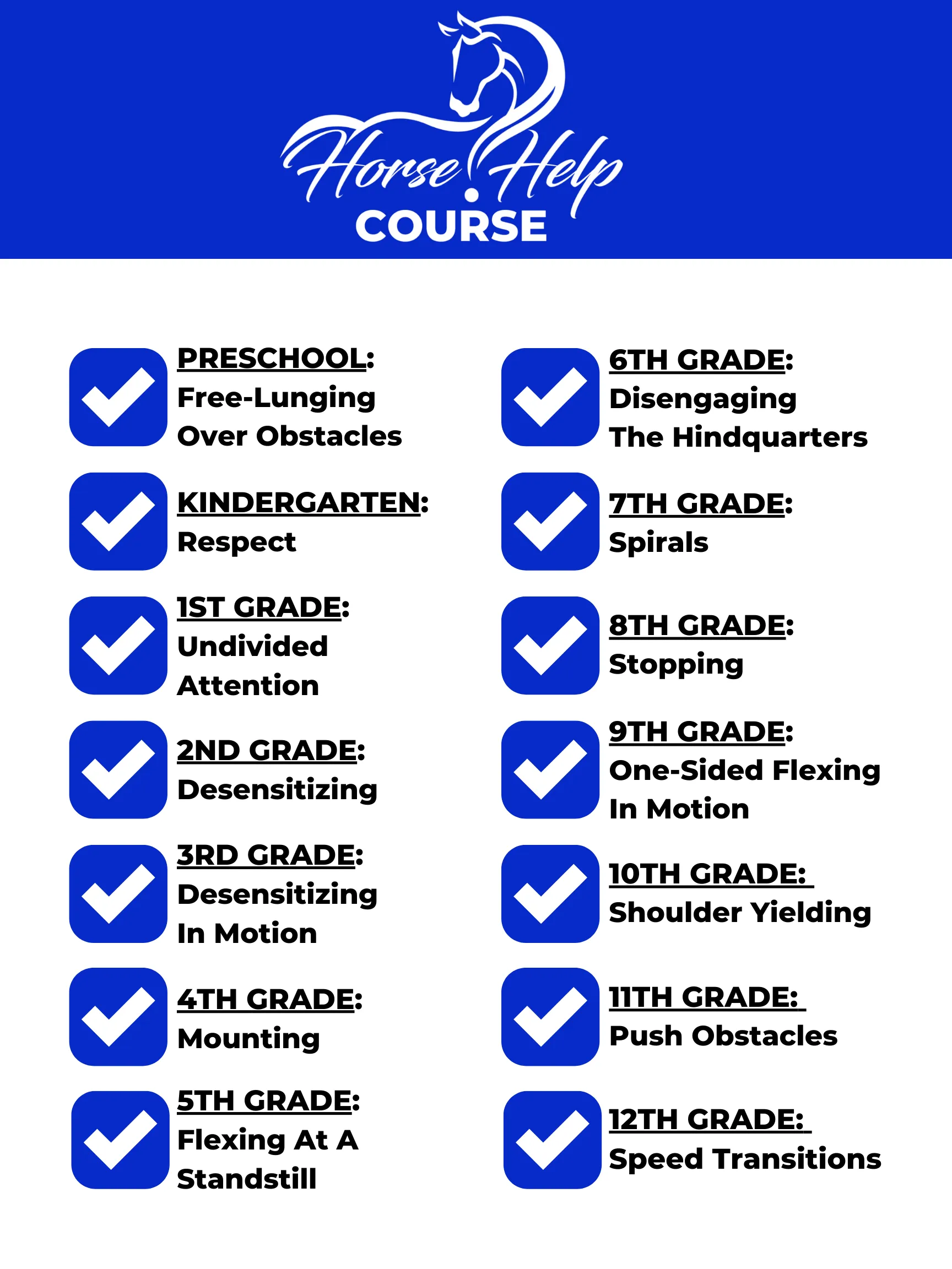 Weekly Virtual Lessons With Video Review [6 Months] - DWY Horse Help Course Accelerator
