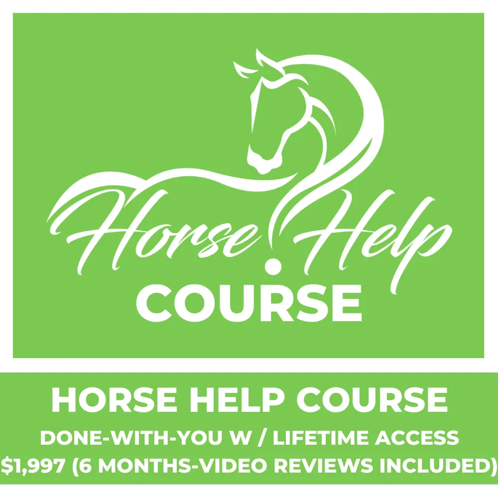 Weekly Virtual Lessons With Video Review [6 Months] - DWY Horse Help Course Accelerator
