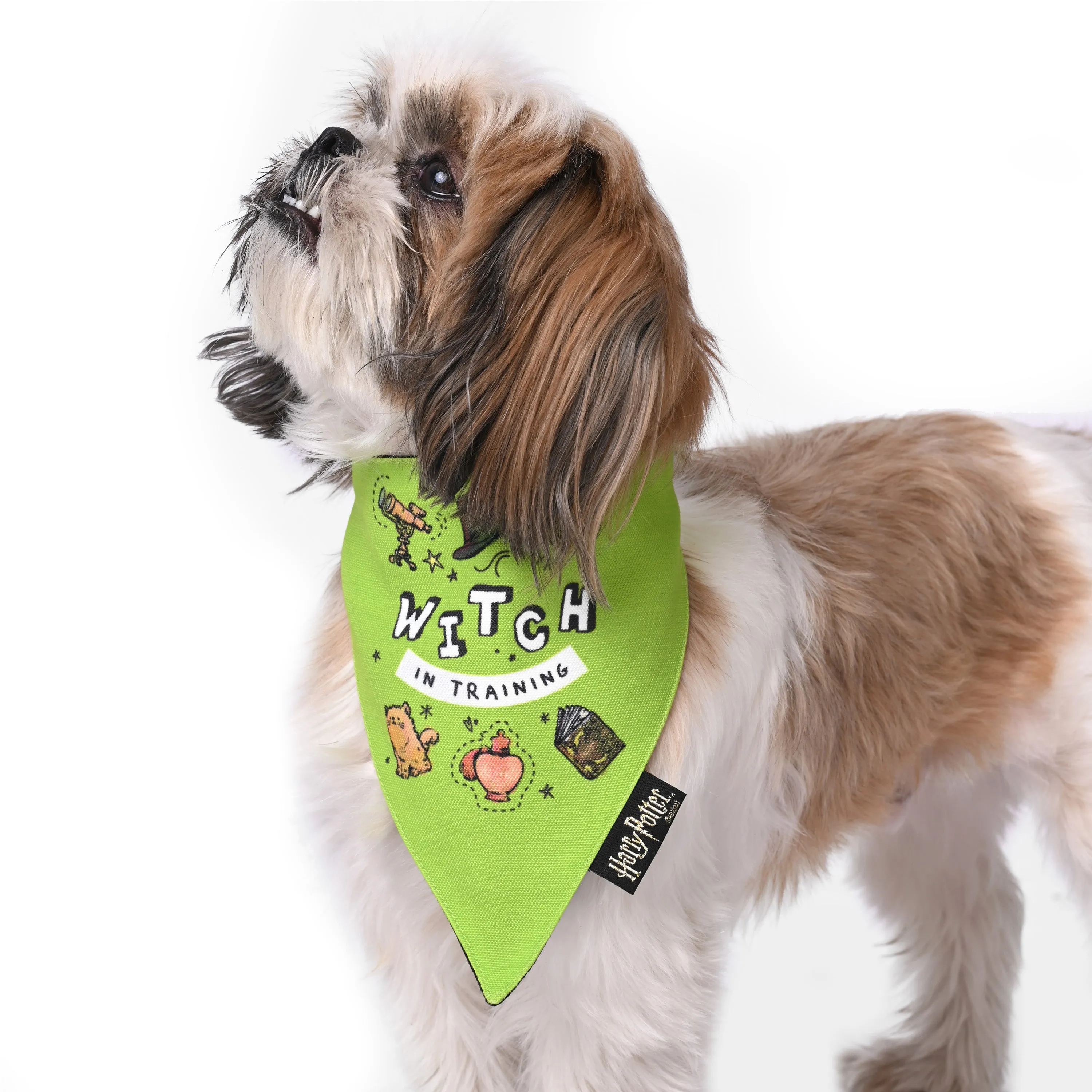 Woofy Witch Bandana