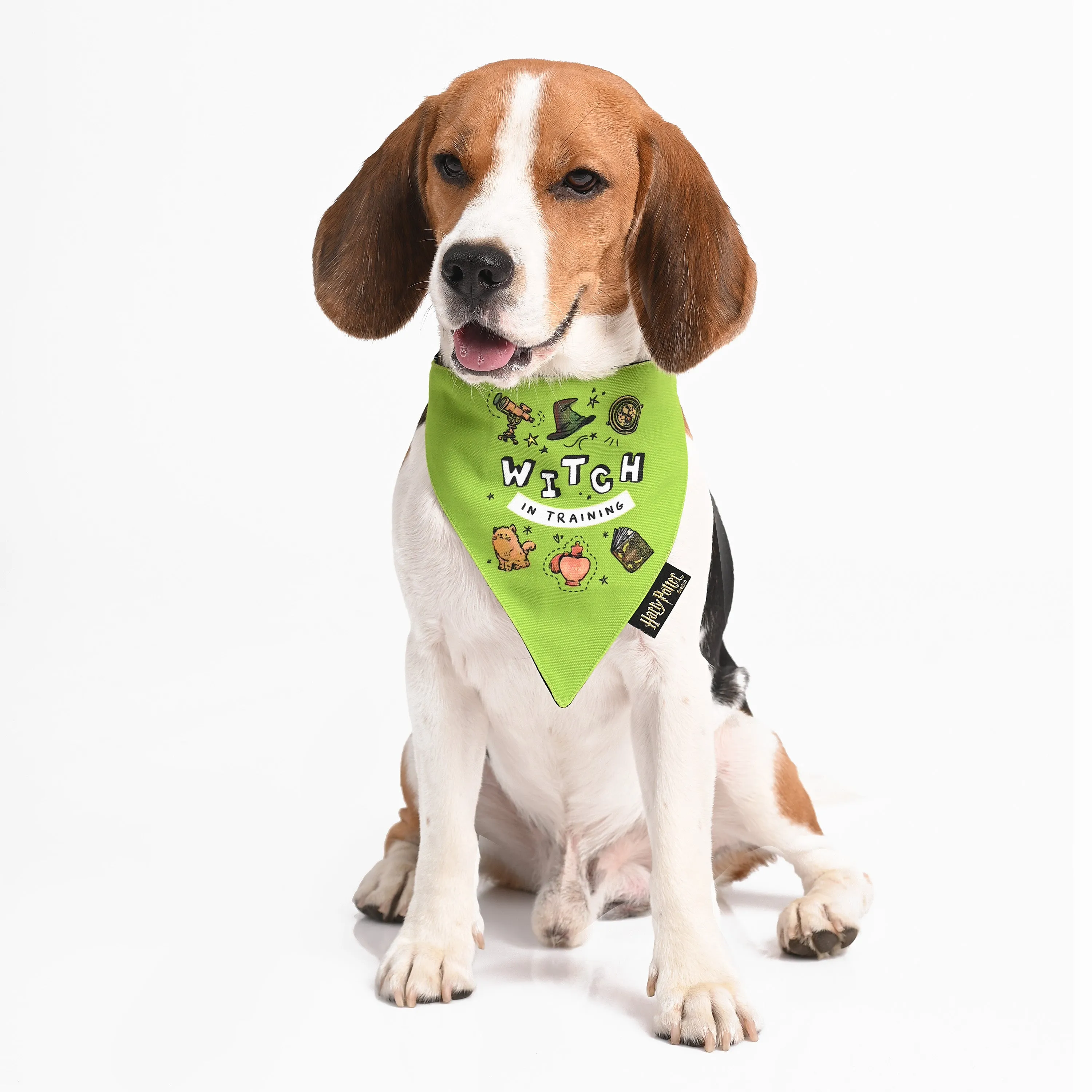 Woofy Witch Bandana
